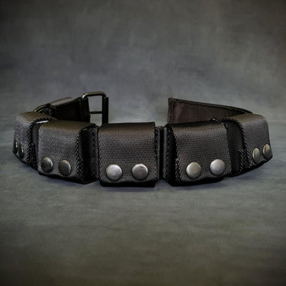 Weighted dog training collar. Large breeds. 5 lbs total. removable weights